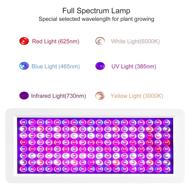 Última caja de luz UV 2026 par - Sneaker Box reseña y precio
